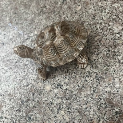 wade porcelain turtle Trinket Box