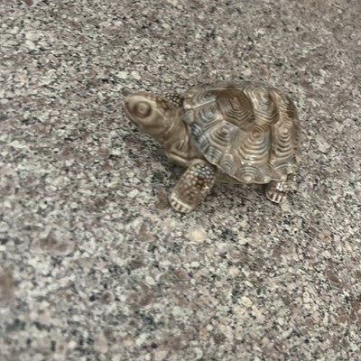 wade porcelain turtle Trinket Box