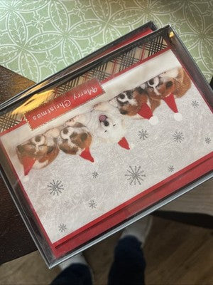 Hallmark Merry Christmas Greeting Cards With Inside Message 16 Card 17 Envelope