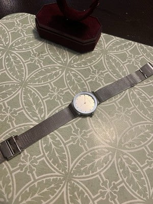 Skagen Oceanus 358sssd Wrist Watch for Women Dainty New Battery