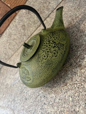 Japanese Cast Iron Tetsubin Tea Pot Kettle Green Bamboo Loose Leaf Infuser