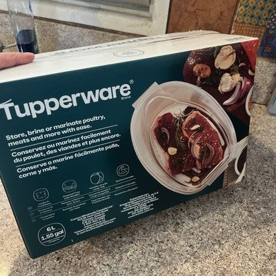 Tupperware XL Food Storage Container *NIB* With Removable Grooved Tray And Lid