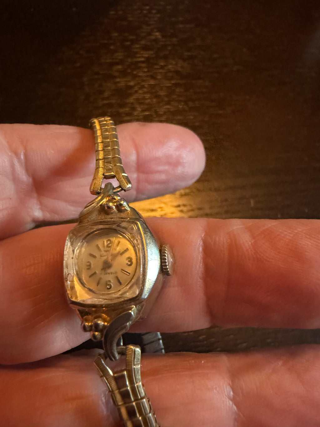 Vintage Waltham 17 Jewels Ladies Mechanical Wind Watch Gold Tone Expansion Bracelet