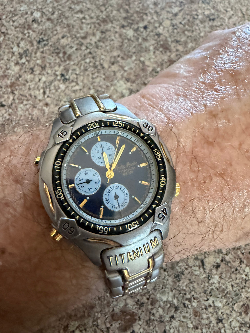 Phillip Persio two tone quartz men’s watch titanium