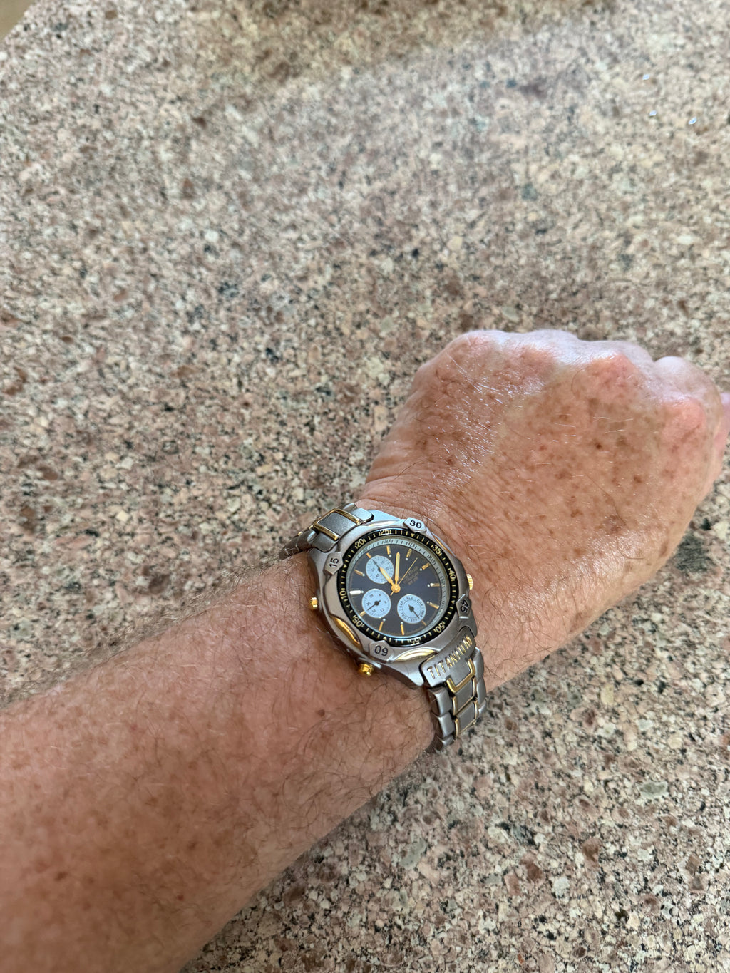 Phillip Persio two tone quartz men’s watch titanium