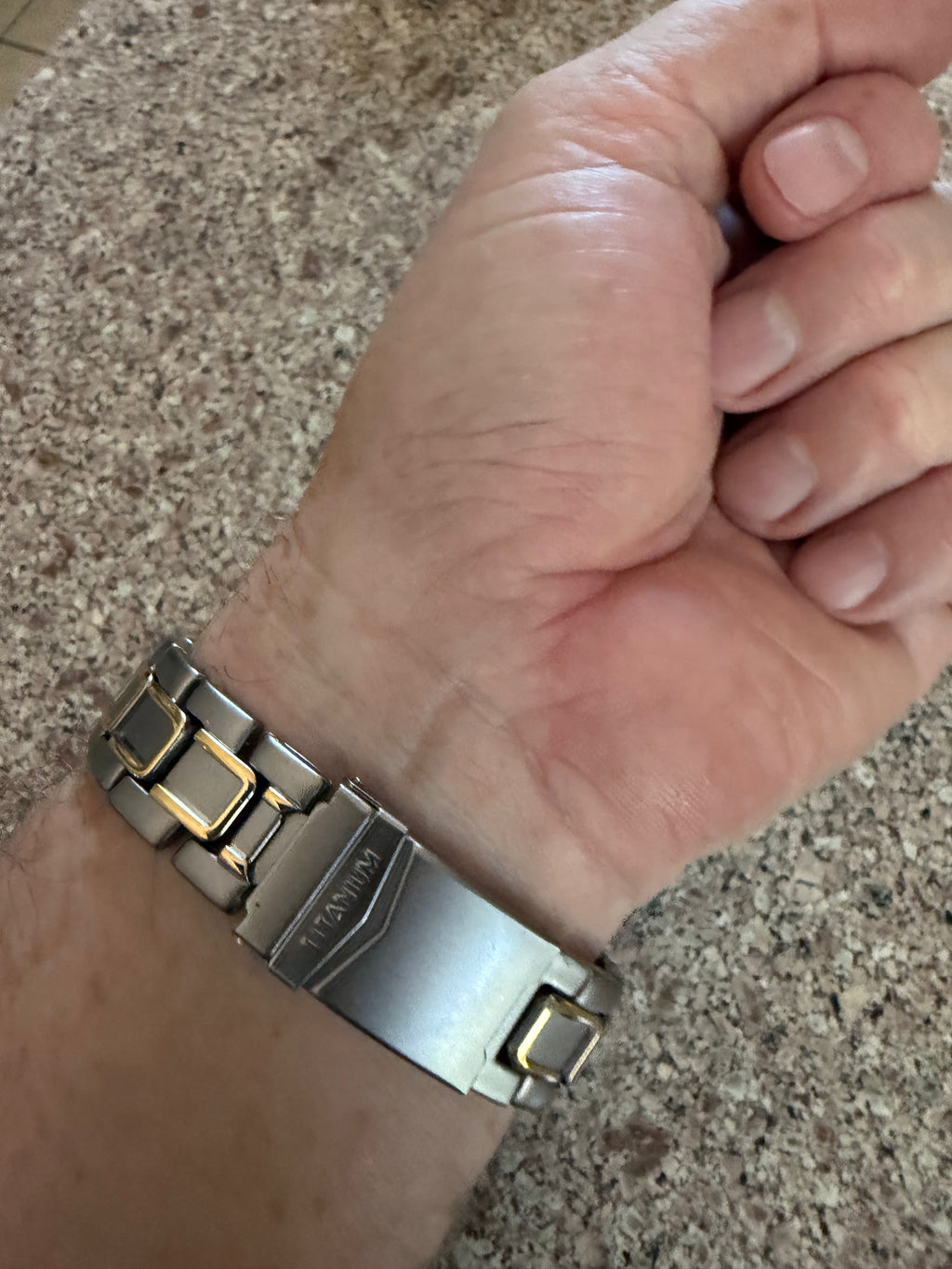 Phillip Persio two tone quartz men’s watch titanium