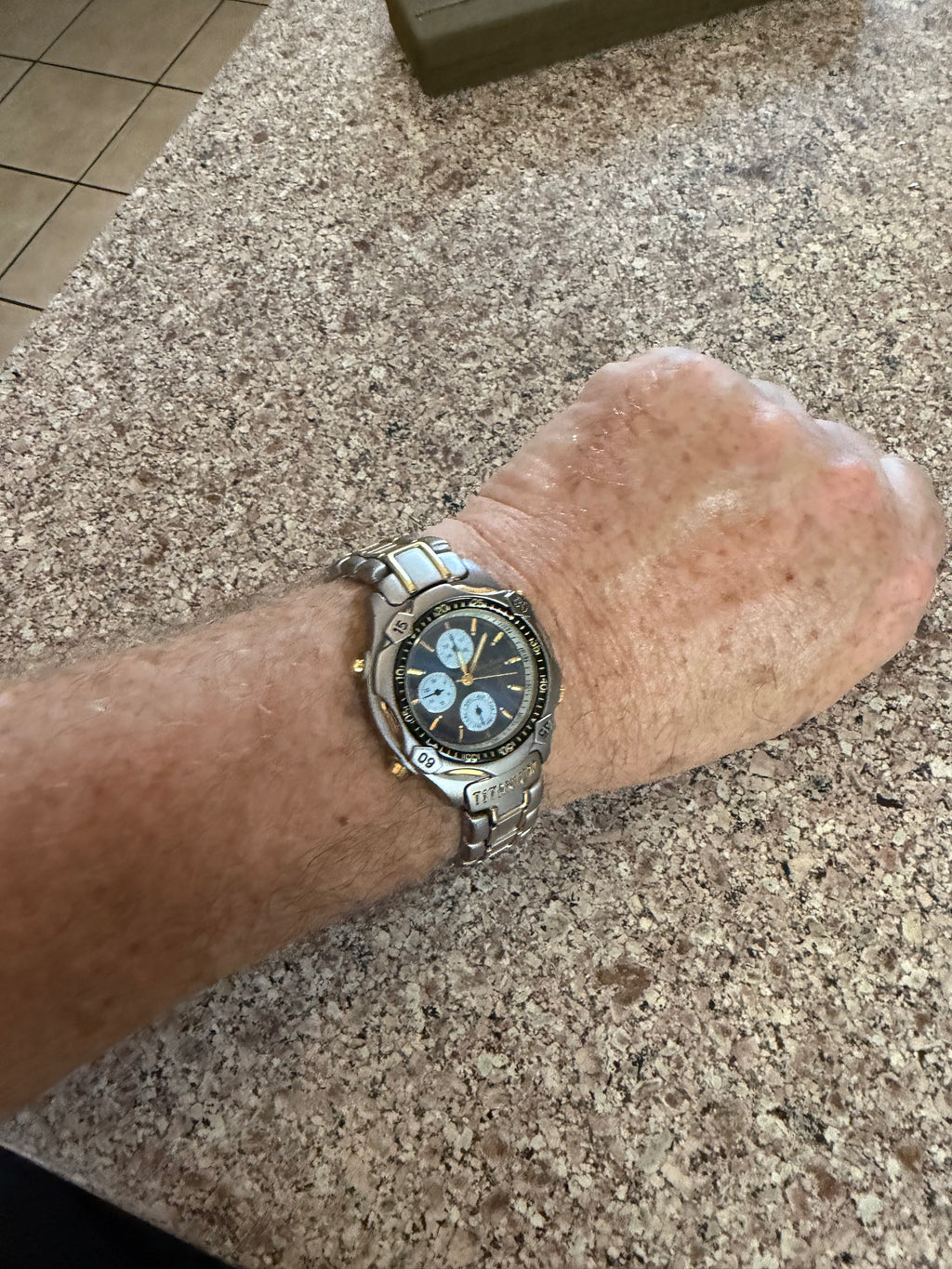 Phillip Persio two tone quartz men’s watch titanium