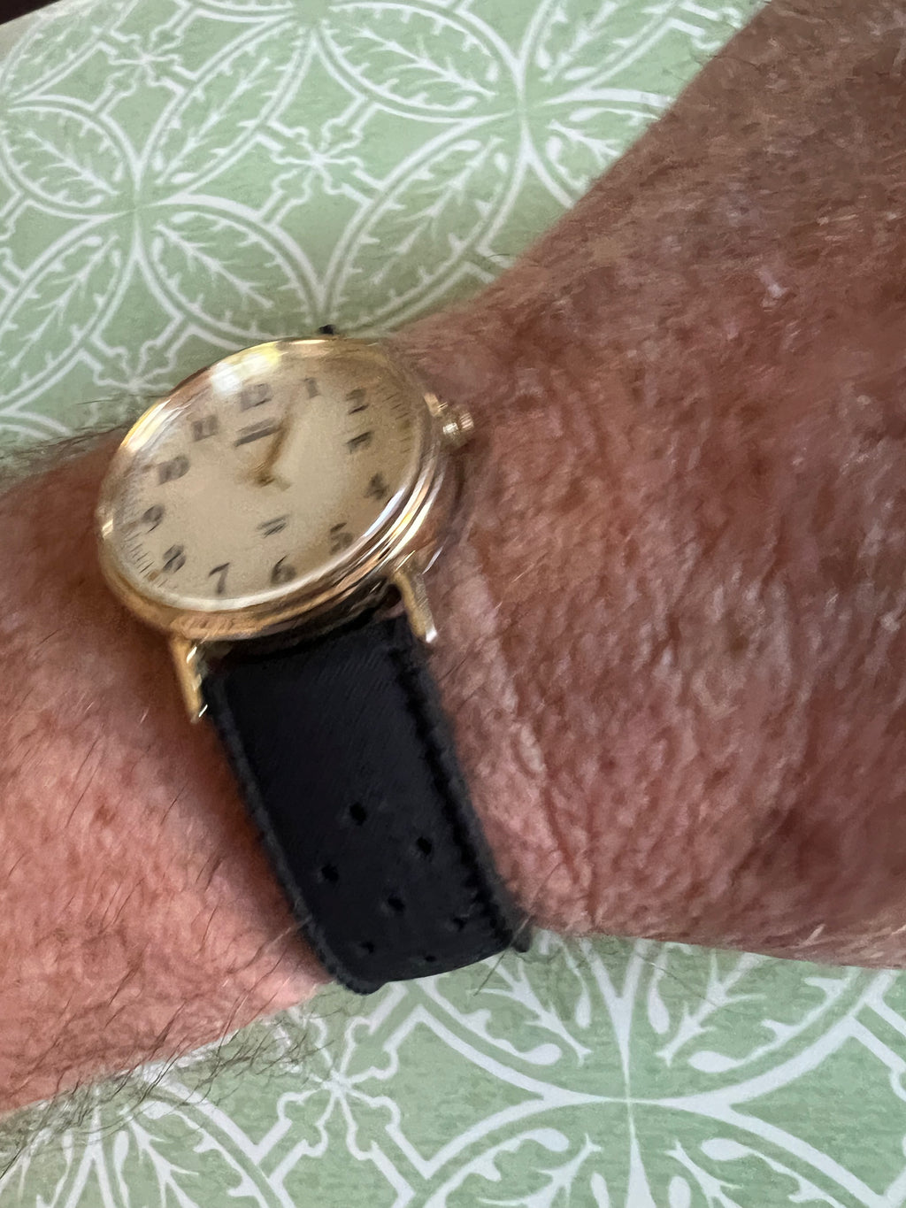 Men’s vintage Timex Indiglo Watch new battery Tropic strap