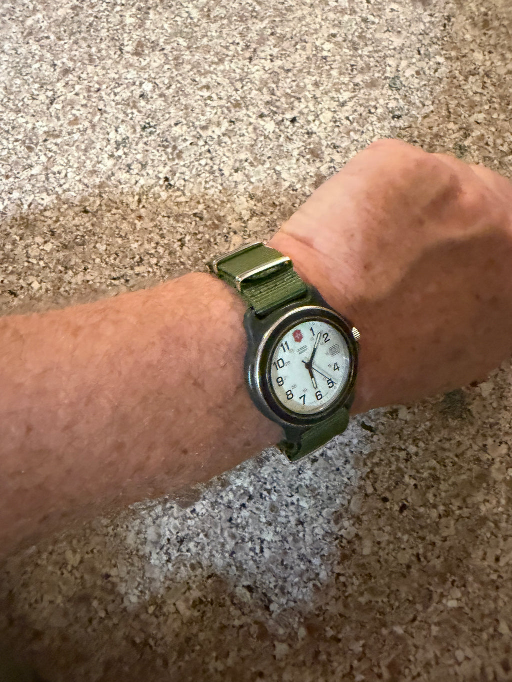 The Vintage Victorinox Swiss Army Black Case Delta Field Men's Watch