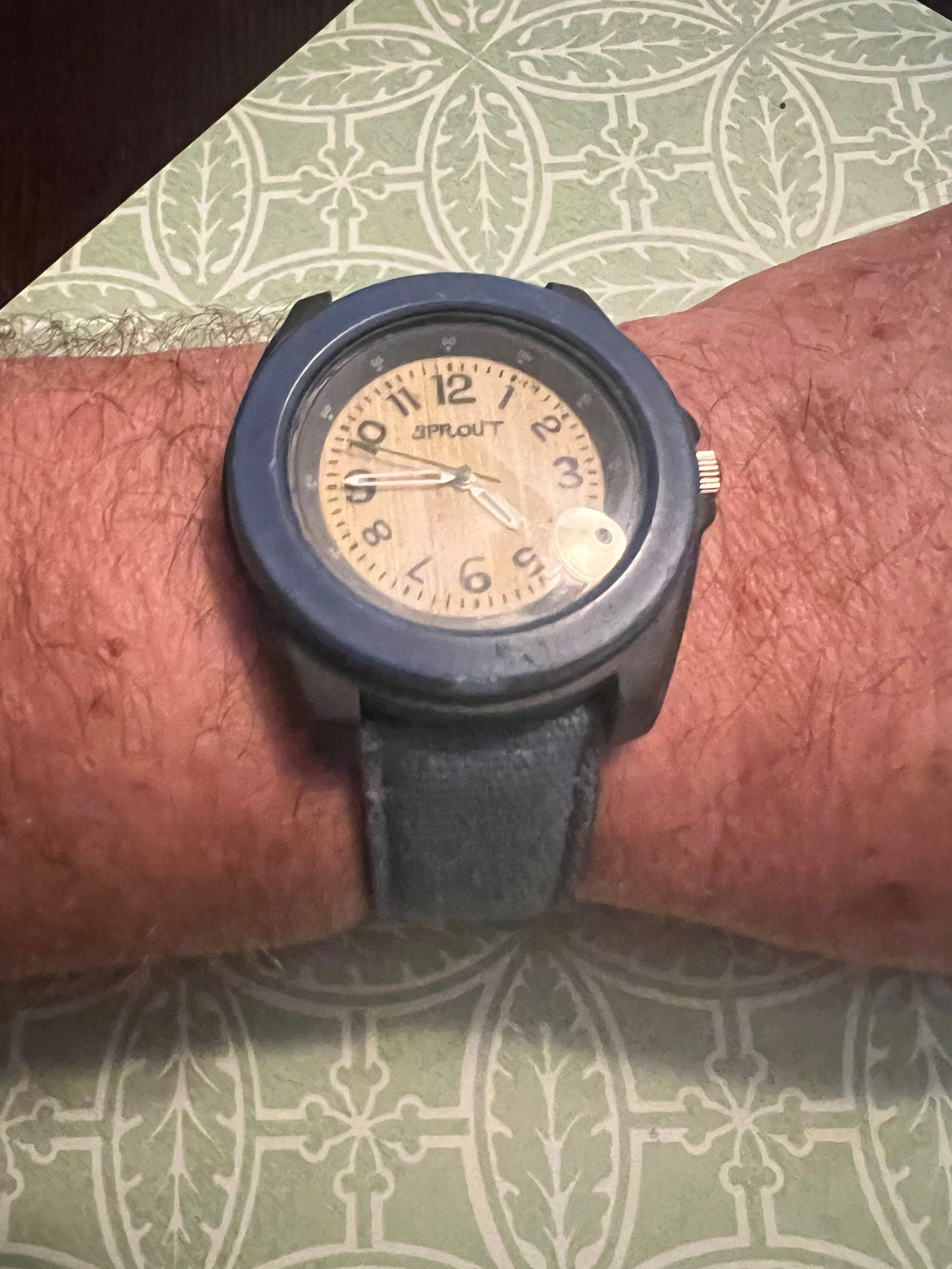 Sprout Corn Resin Biodegradable Wristwatch w/ Adjustable Buckle Band