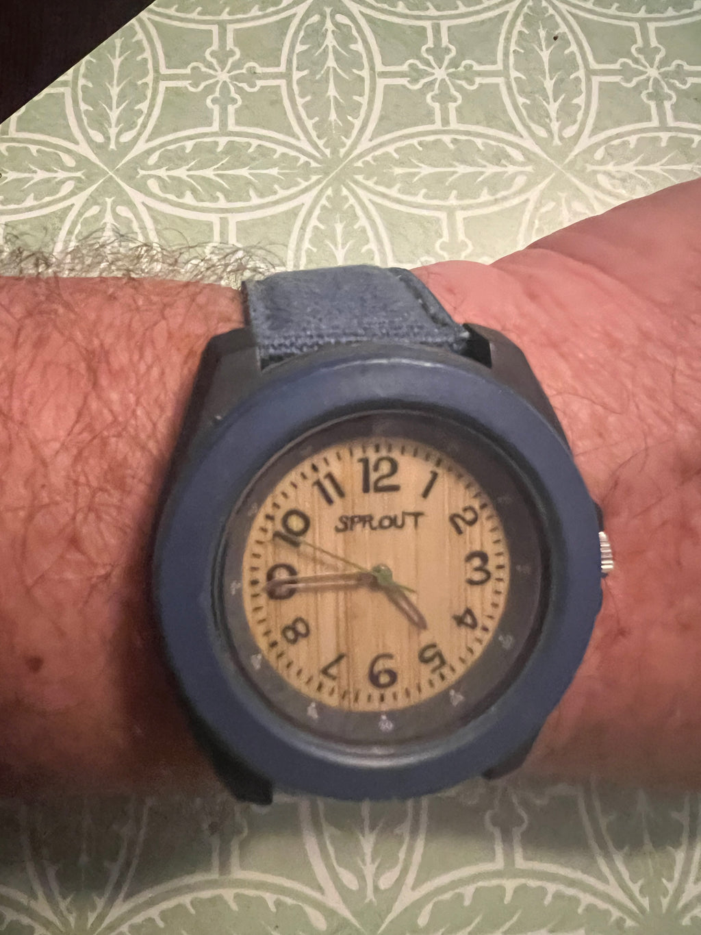 Sprout Corn Resin Biodegradable Wristwatch w/ Adjustable Buckle Band