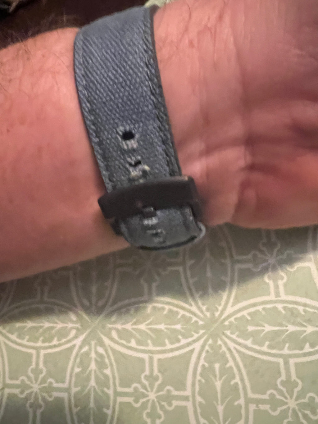 Sprout Corn Resin Biodegradable Wristwatch w/ Adjustable Buckle Band