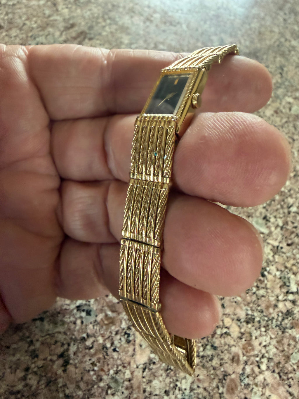 Vintage Seiko 2E20-5260 Ladies Quartz Watch Black Dial Gold Tone New Battery