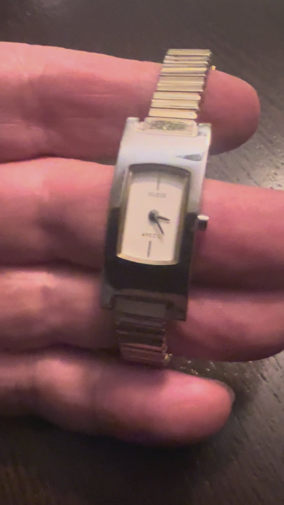 Dainy cute ladies Guess Steel two-tone silver case watch new battery